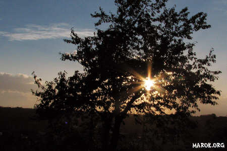 Toh... il tramonto! &Egrave; ora di svegliarsi!