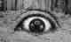Dream Theater