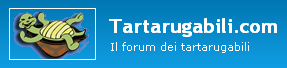 Tartarugabili