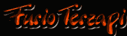 Furio Terzapi