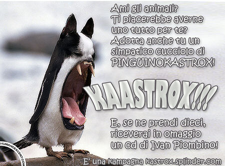 KAAAAAAAAASTROX