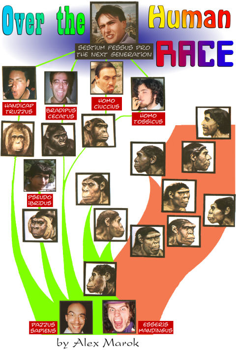 La maglietta per KILLER