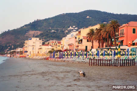 L´unico essere vivente in spiaggia!