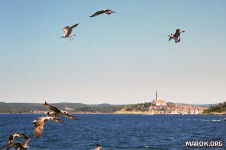 Rovinj