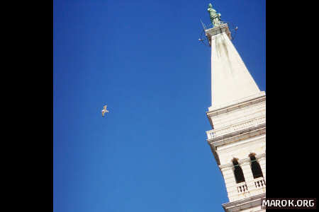 L´uccello ed il campanile