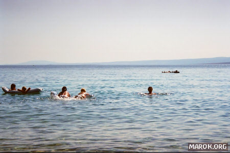 Indovina il soggetto della foto - reprise