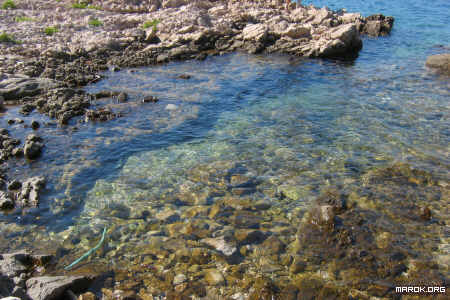 Il mare di Dubrovnik - #1