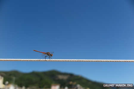 L´equilibrio della natura