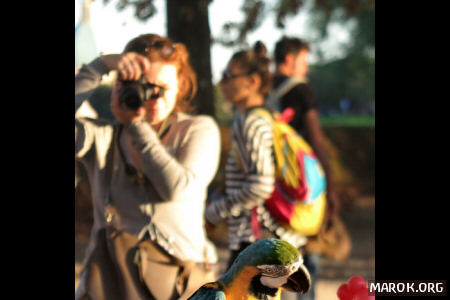 La pheega che fotografa l´uccello