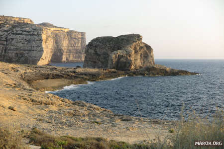 Fungus rock