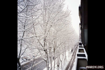 Neve a casa Marok - #5