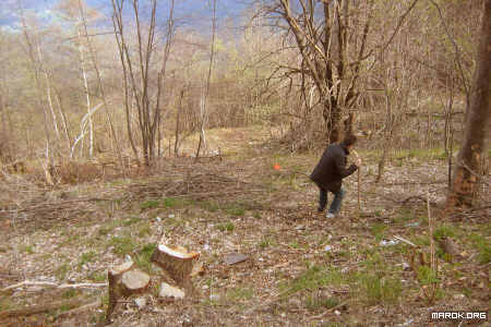 Caccia al frisbee