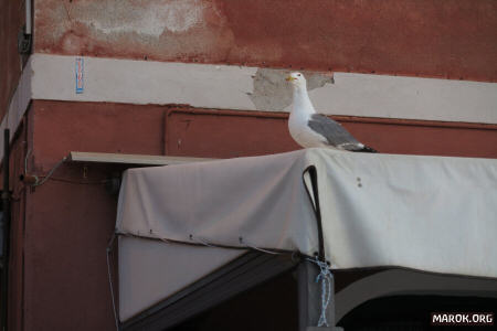 Preparazione dell´attacco aereo