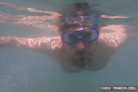 Toh... un Pesce Porko!