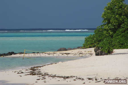 La spiaggia dell'hotel (560mm)