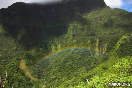 Arcobaleno nella giungla
