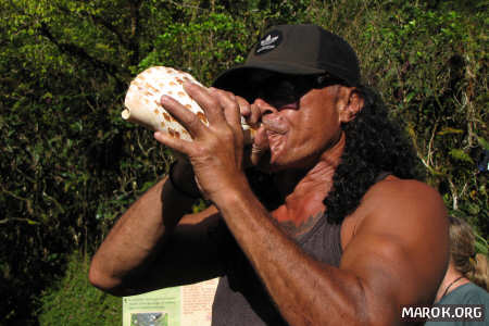 Conchiglia sonora