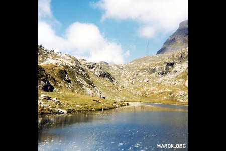 Il lago Santanel (quota 2361m): contate le vacche!