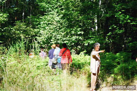 E ora... tutte al cesso nella foresta!