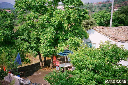 Il giardino di casa Joco sfida il formato JPEG