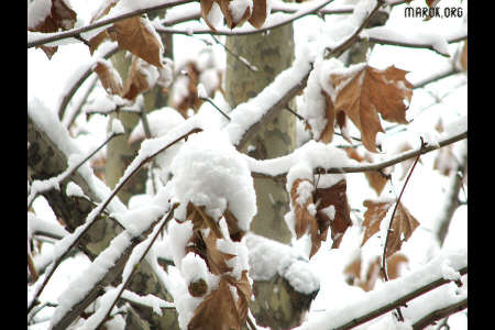 Neve a casa Marok #3