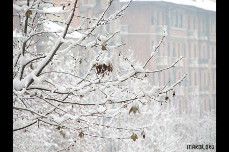 Neve a casa Marok #4