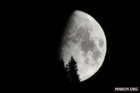 Aiuto! Mi cade la Luna nel bosco!