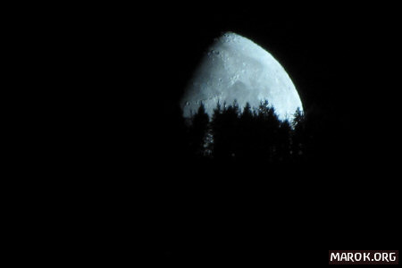 A contatto con le piante, la Luna diventa azzurra. Perché?