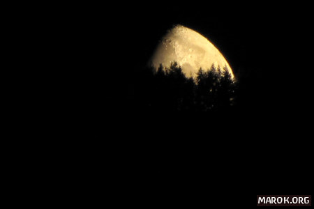 Ehi laggiù nel bosco! Tenetemi su la Luna, mi diventa gialla! E cade!!!