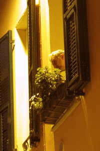 L´attenzione della piazza