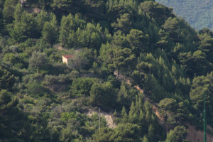 Il CURSORE sulla collina Il CURSORE sulla collina
