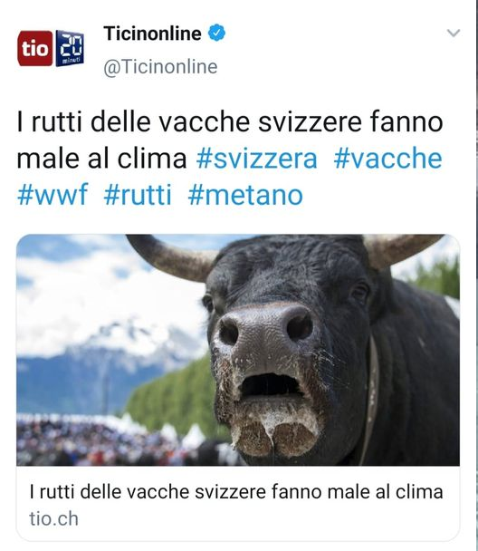 il clima in vacca