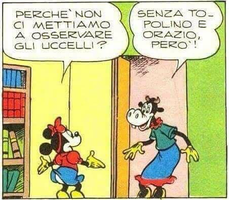 Perché non ci mettiamo ad osservare gli uccelli?