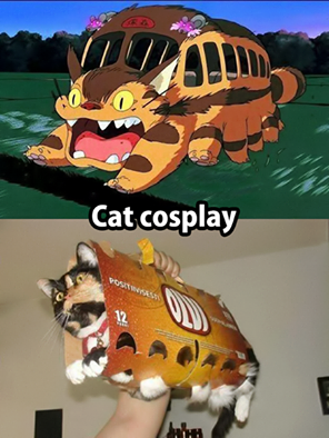Il gatto di Choo