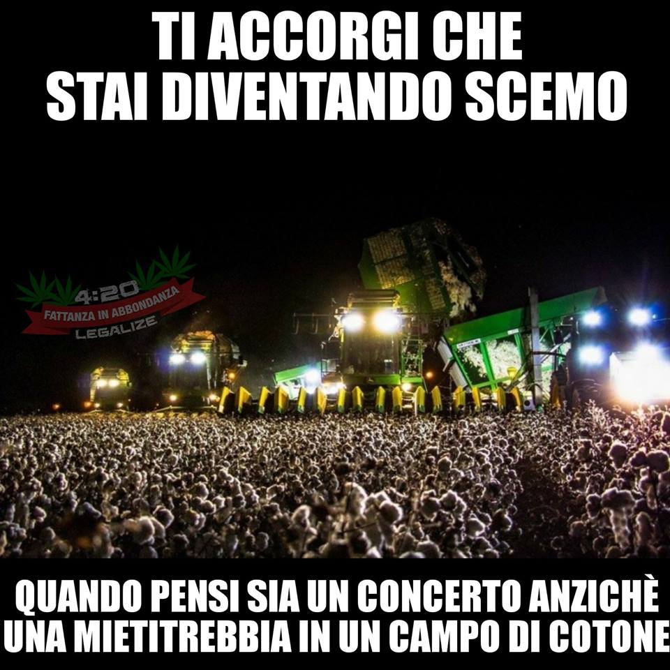 Ti accorgi che stai diventando scemo quando pensi sia un concerto anziché una mietitrebbia in un campo di cotone