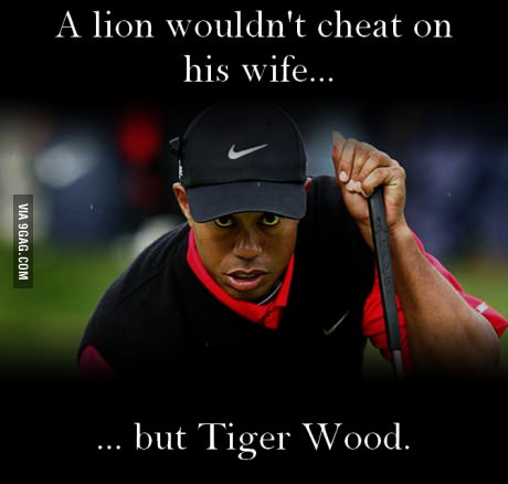 A lion wouldn't cheat on his wife... but Tiger Wood