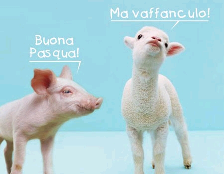 Buona Pasqua