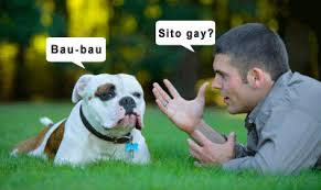 Cane gay