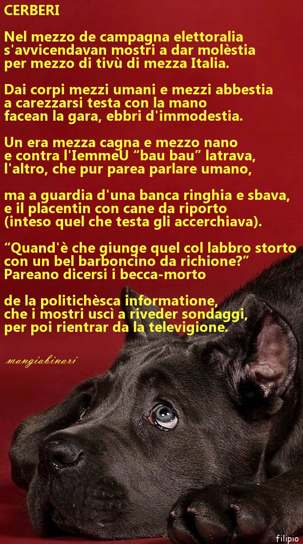 Cane mangia binari