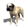 _