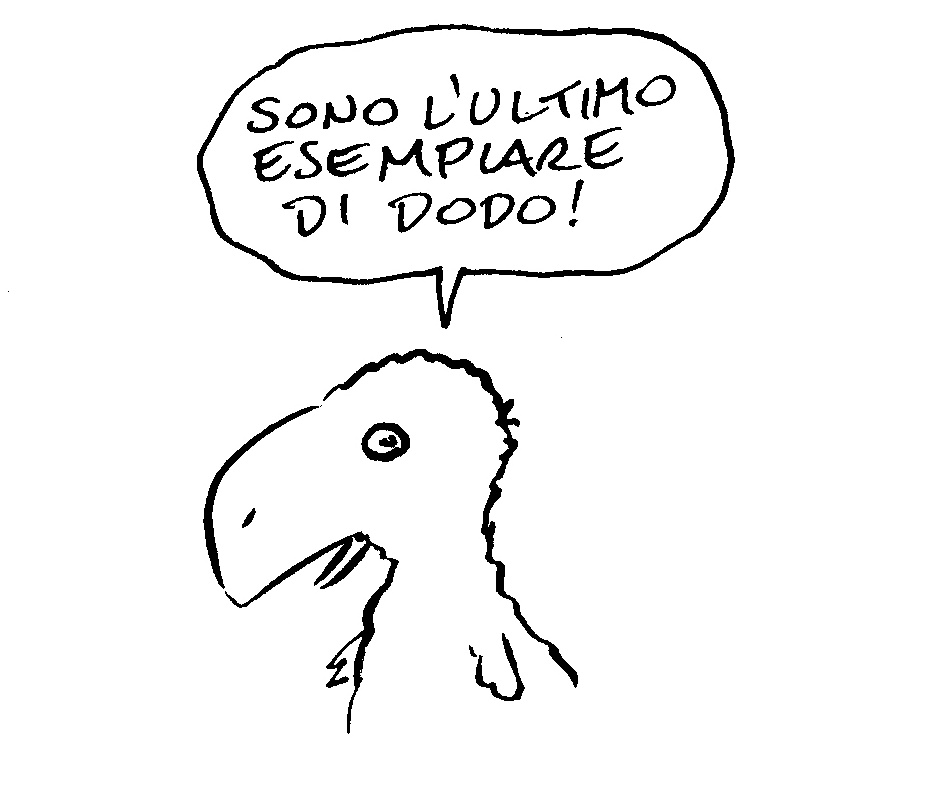 Dai Ard Pagina 19