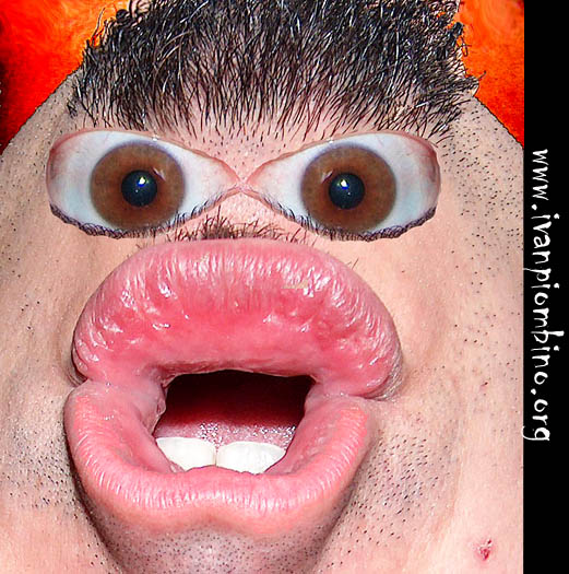 Schifo