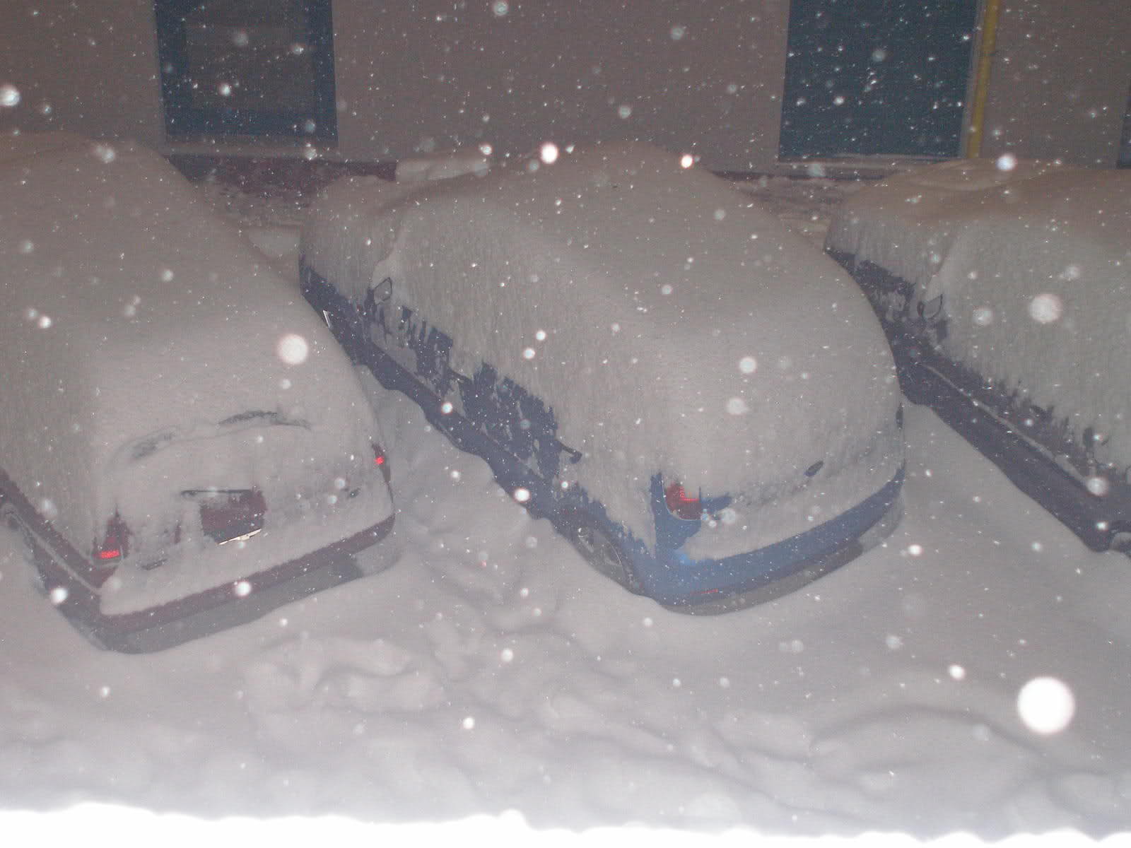 Neve