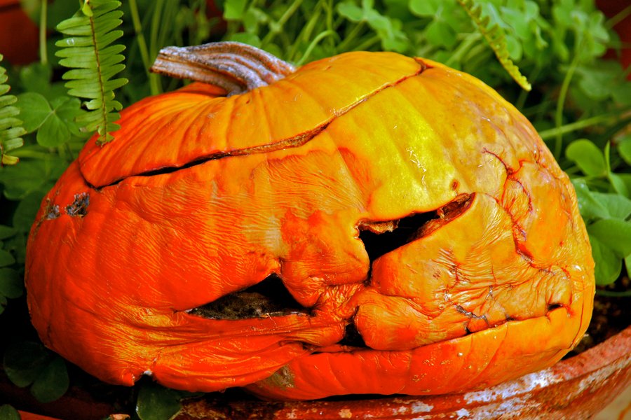 Retarded halloween is not amused