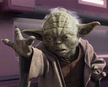 Yoda is not amused
