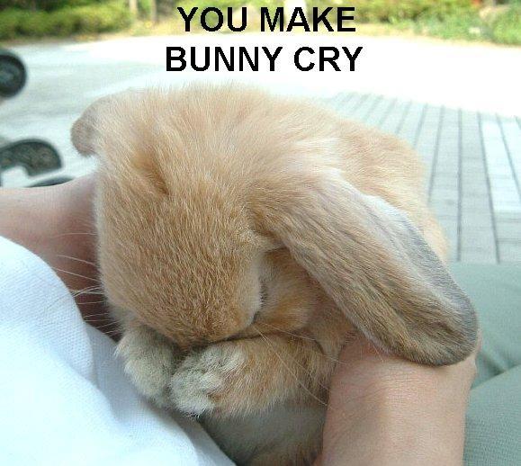 You make bunny cry