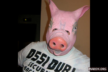 Gnurluvo pigman