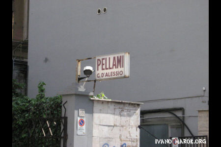 Pellami