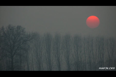 Natura sulla Torino-Milano